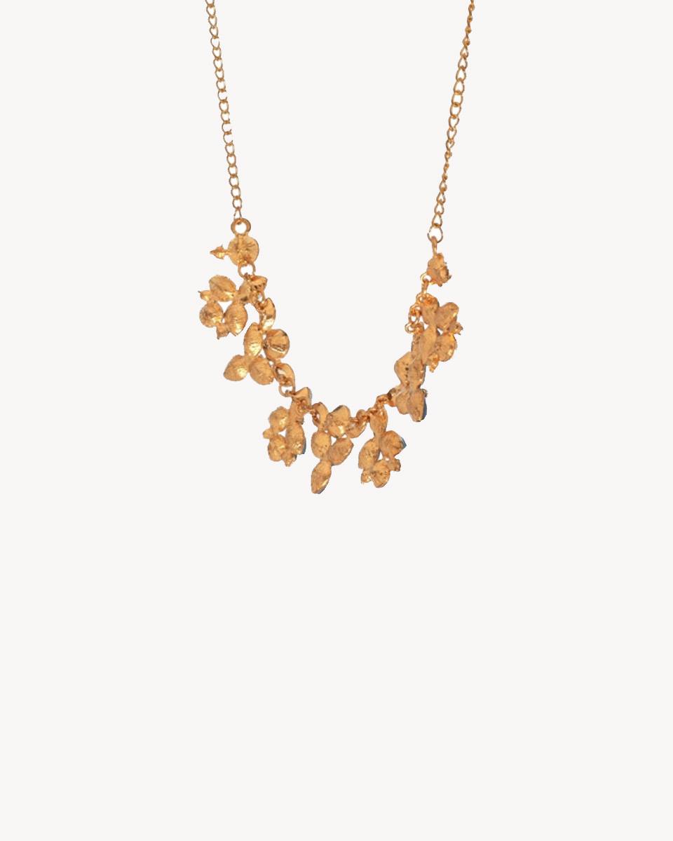 product-360-25